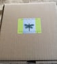 Dragonfly  - Image 7