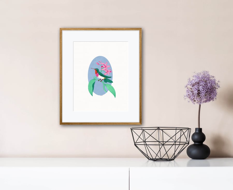 Hummingbird Illustration Art Print