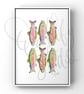 Hand Finished Watercolour Signed Art Print - Rainbow Trout Run - Image 1