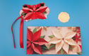 Christmas gift tags and gift money envelopes