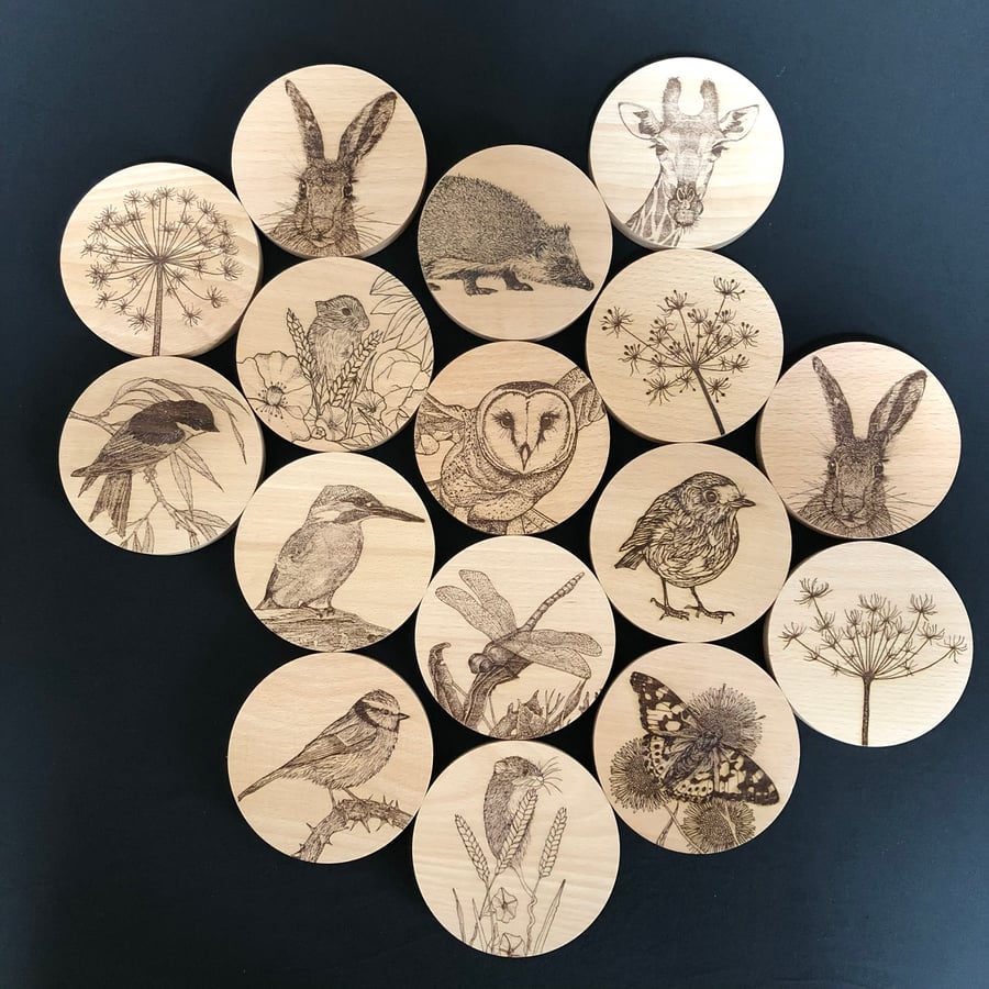 Set of 4 solid beech wood coasters laser engraved with original wildlife artwork