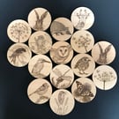 Set of 4 solid beech wood coasters laser engraved with original wildlife artwork