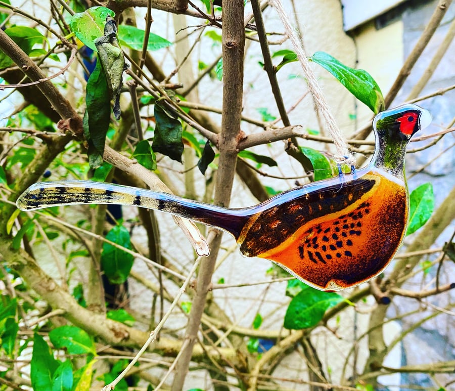 Fused Glass Birds, PHEASANTS bird lover gift, British bird, hanging bird