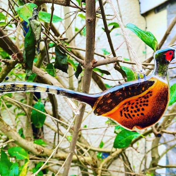 Fused Glass Birds, PHEASANTS bird lover gift, British bird, hanging bird