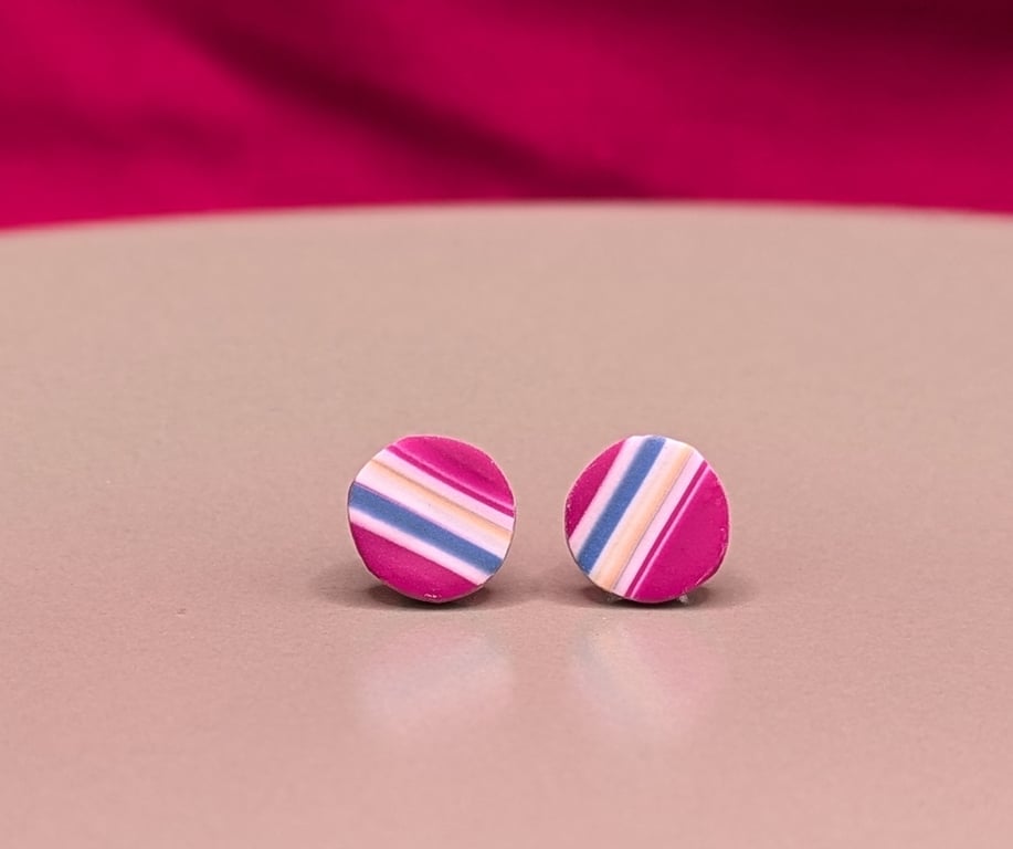 Pink blue stripe stud earrings 