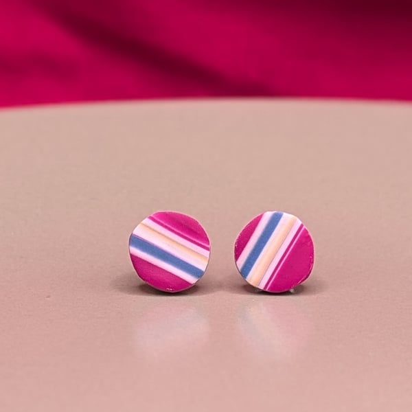 Pink blue stripe stud earrings 