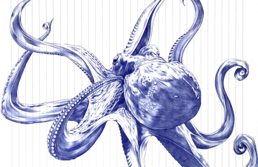 Octopus Blue Ballpoint Pen Art Authenticated Print - A4 Eco Paper - Unframed