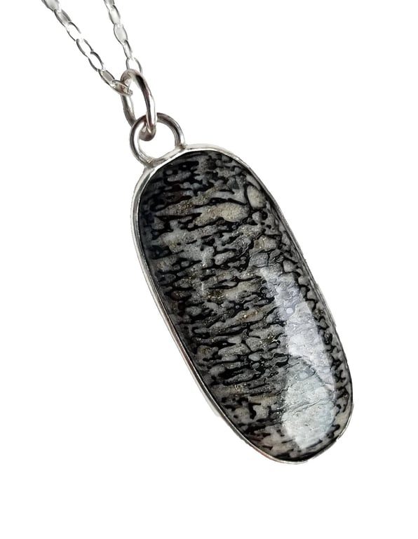 Dinosaur Bone Necklace Fine & Sterling Silver Jewellery Gift Fossil Pendant 