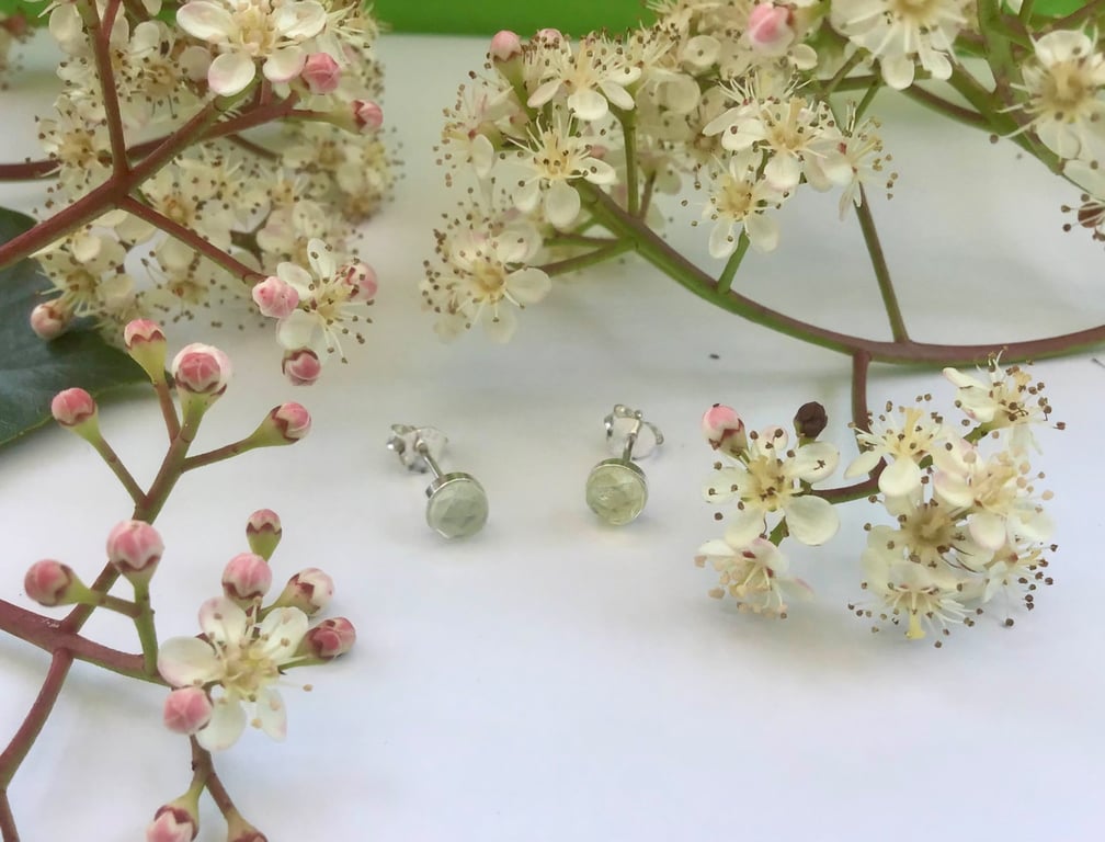 Dainty Prehnite sterling silver stud earrings 