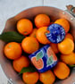 Marmalade Pot - Hand Painted - Image 3