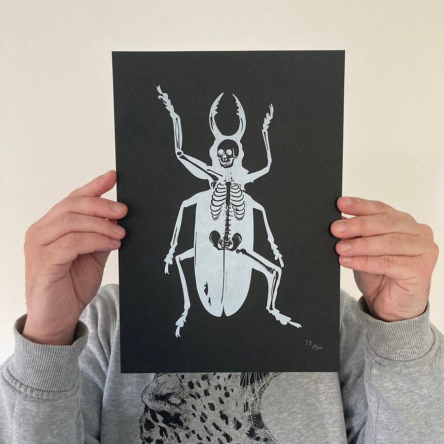 Screen Printed Insect Poster - 'Metamorphosis (White Ink on Black).'