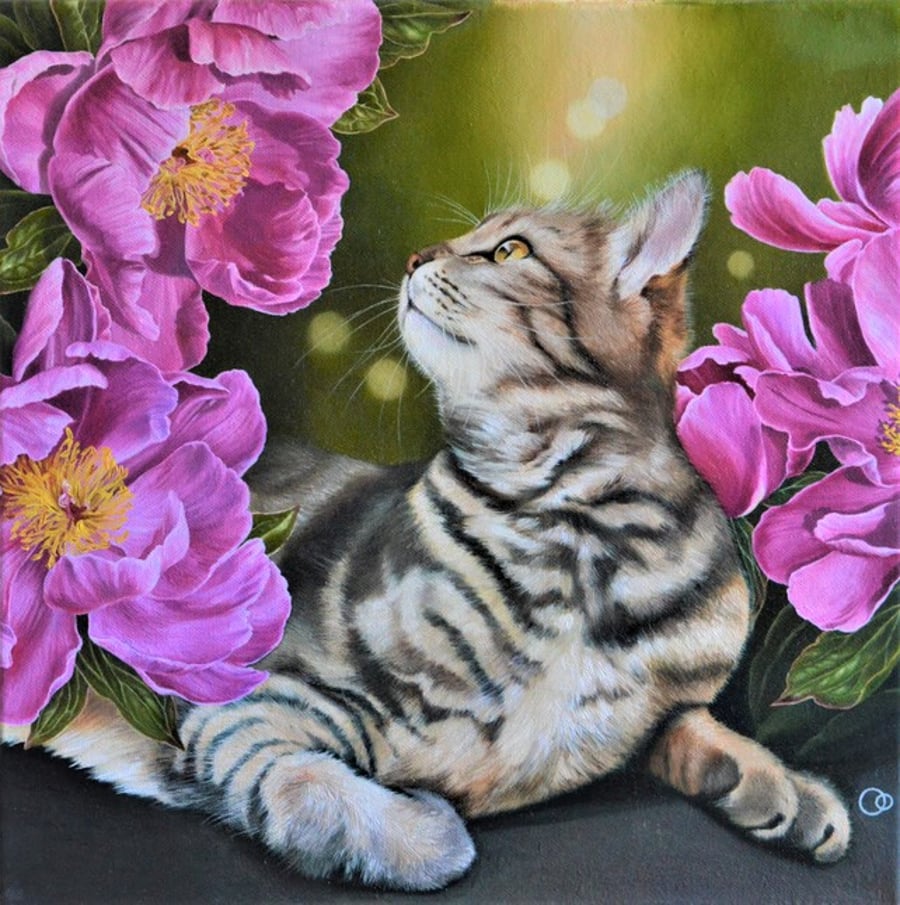 Curiosity Original Cat Oil Painting