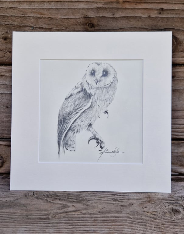 Barn Owl No.3 (2021)