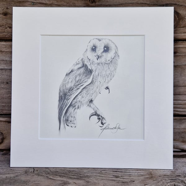 Barn Owl No.3 (2021)