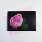 Pink Rose Flower Photography Note Card, Greeting Card, Blank with Envelope, A6
