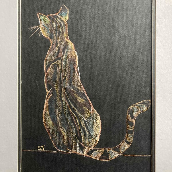 Cat art, kitty waiting, colour pencil of a cat waiting, pet illustration. 