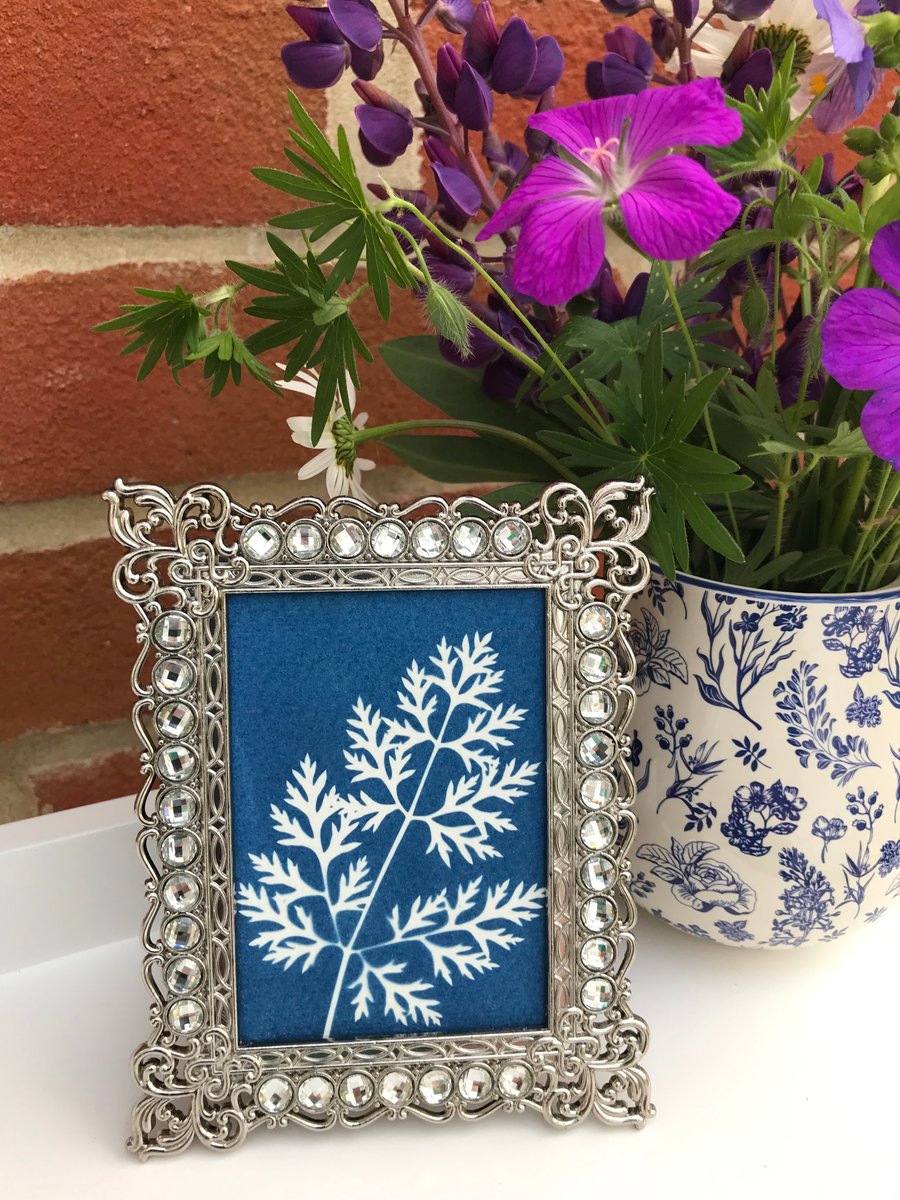 Miniature Framed Art, Cyanotype Art, Botanical Art.
