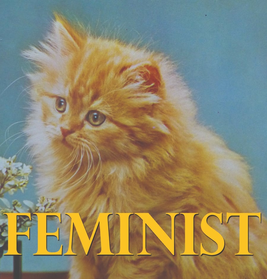 Feminist Cat