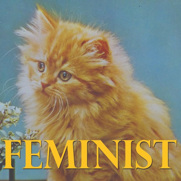 Feminist Cat