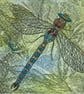 Hand painted dragonfly greetings card - Image 4