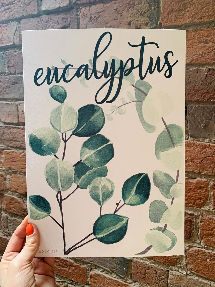 SALE A4 Watercolour print of Eucalyptus 