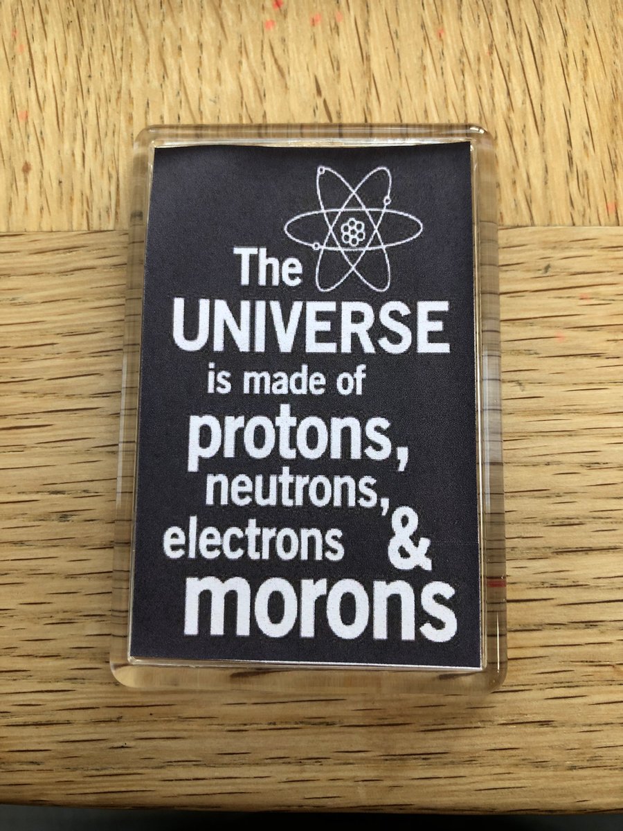 Proton Neutron Moron Magnet