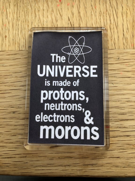 Proton Neutron Moron Magnet