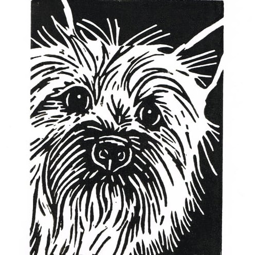 Dog Art - Cairn Terrier Dog - Original Hand Pulled Linocut Print