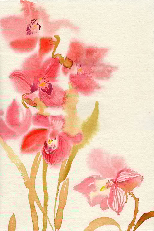 Orchid Flowers. Watercolour.