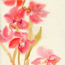 Orchid Flowers. Watercolour.