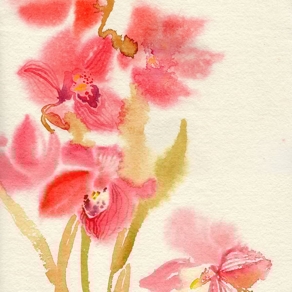 Orchid Flowers. Watercolour.