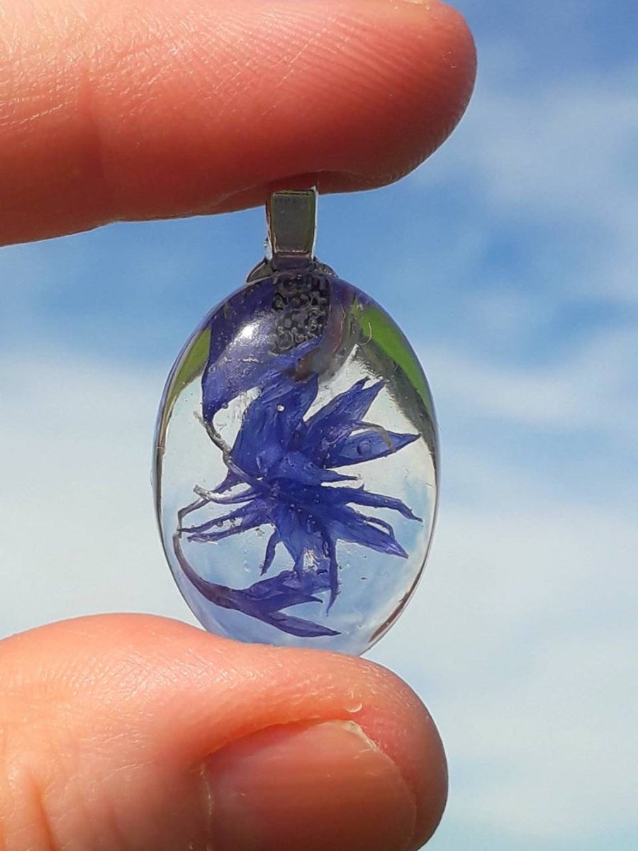 cornflower necklace, pressed flowers necklace, blue pendant, oval pendant