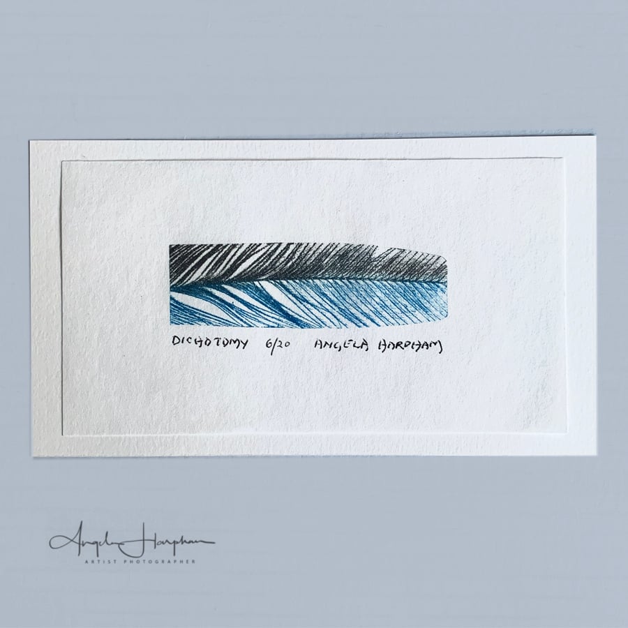 Delicate Original Limited Edition Etching Feather on Japanese Paper