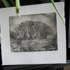 Moody etching 'Birch grove, Exmoor'