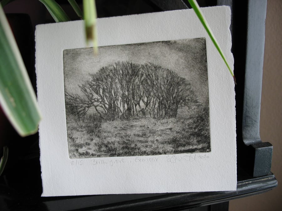 Moody etching 'Birch grove, Exmoor'