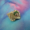 ShellDweller Gnome 1" in seashell OOAK Sculpt Ann Galvin Gnome Village