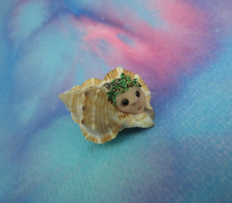 ShellDweller Gnome 1" in seashell OOAK Sculpt Ann Galvin Gnome Village