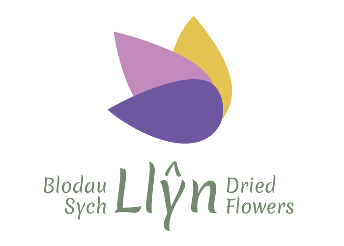 LlynDriedFlowers