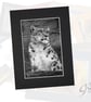 CJ224 - Snow leopard - Image 1