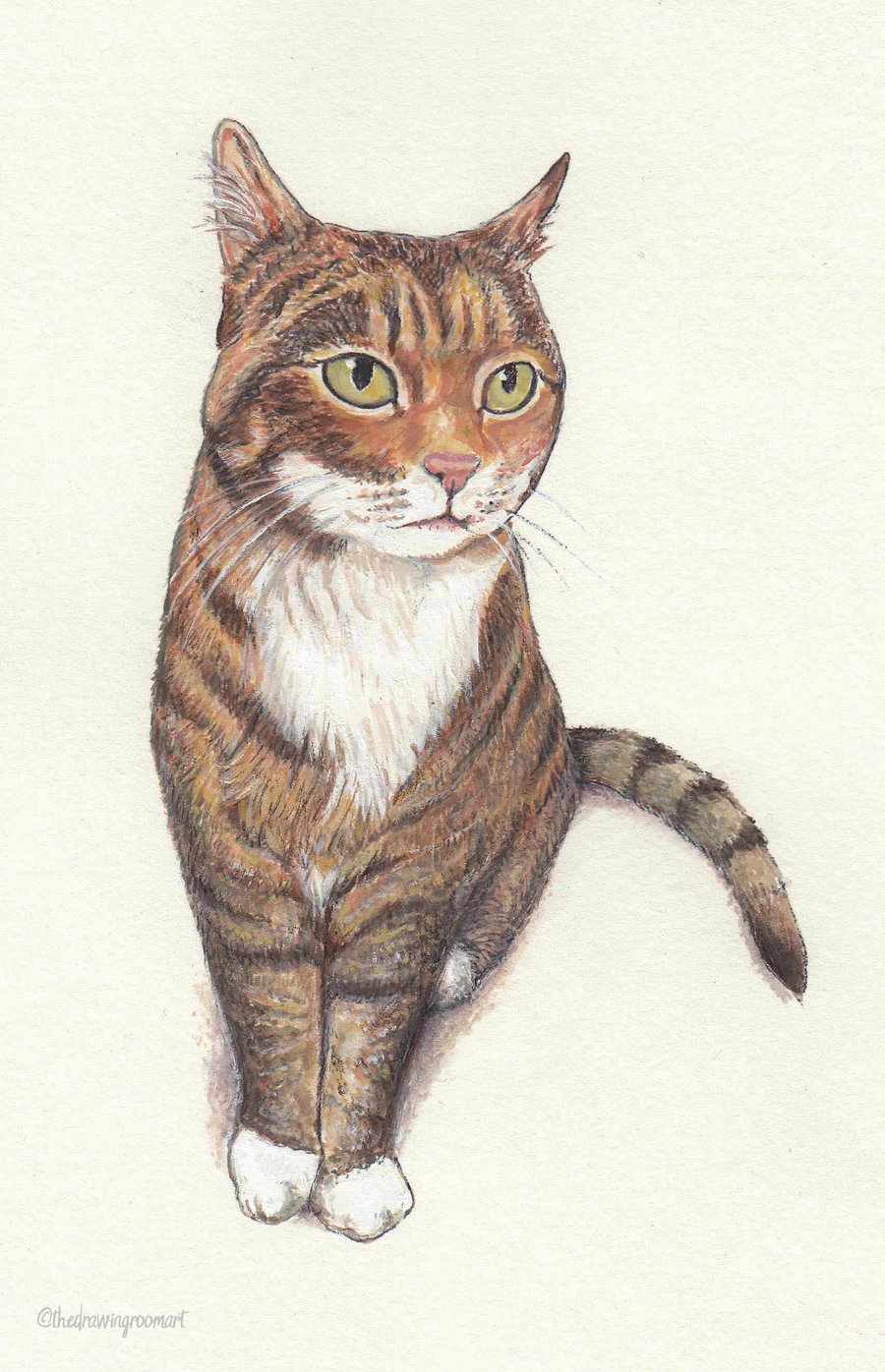 Watercolour Pet Portraits