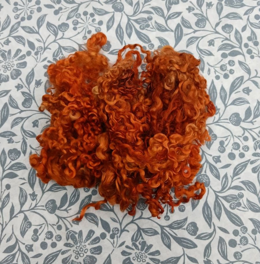 wensleydale fleece 10g warm spice