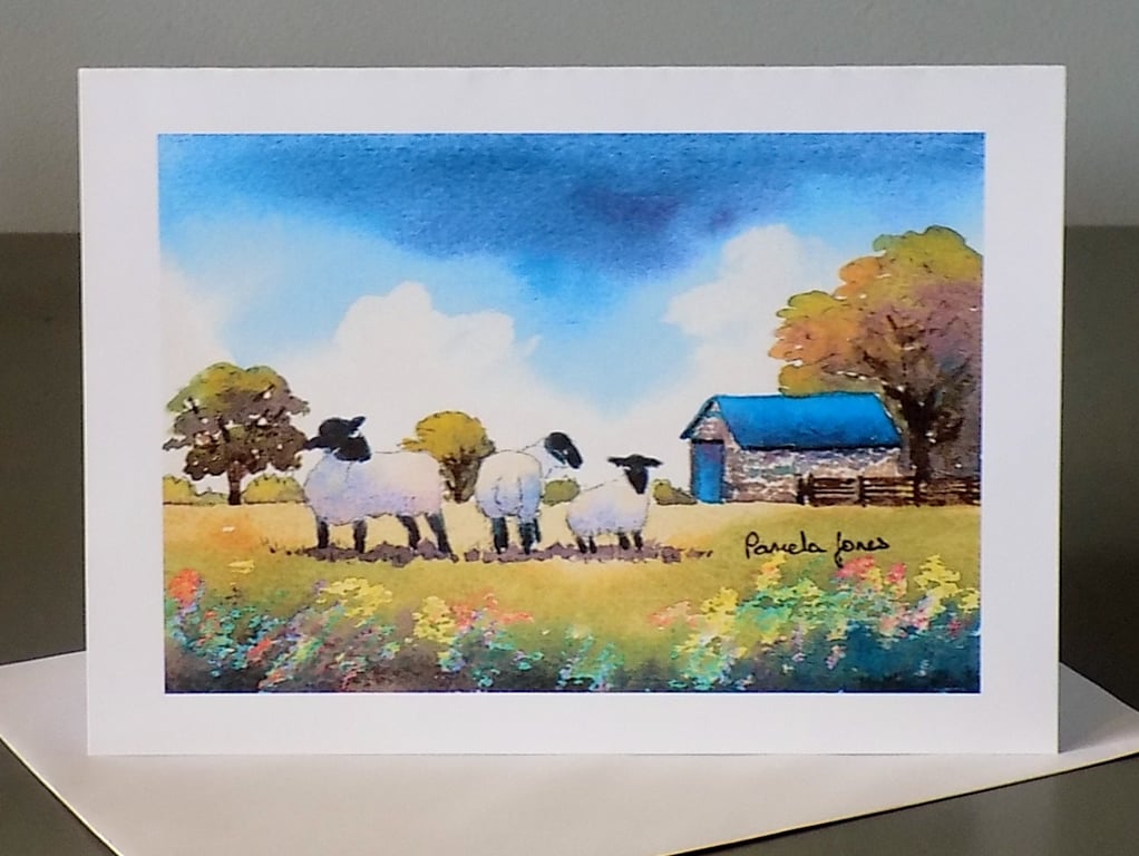 Comical Sheep, On Welsh Farm, Greetings Card, Blank inside for own message, A5
