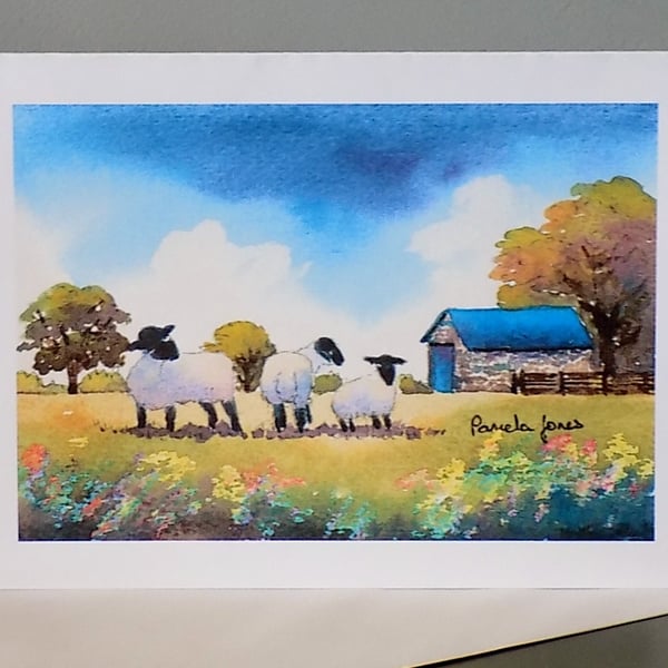 Comical Sheep, On Welsh Farm, Greetings Card, Blank inside for own message, A5