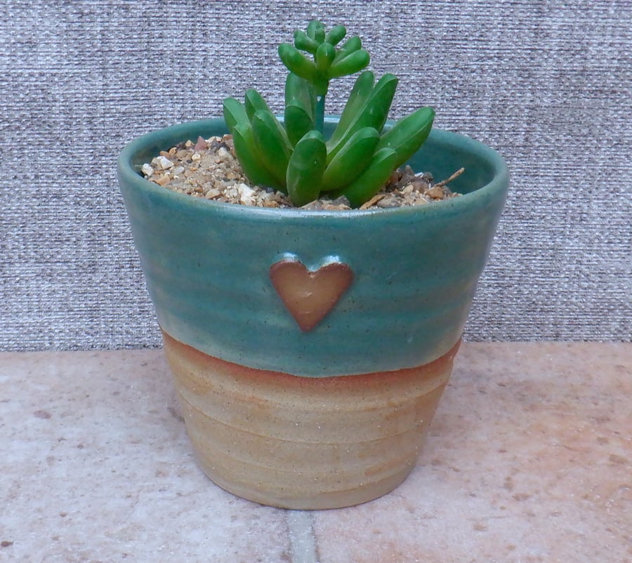Succulent or cactus holder planter handmade stoneware handthrown pottery ceramic