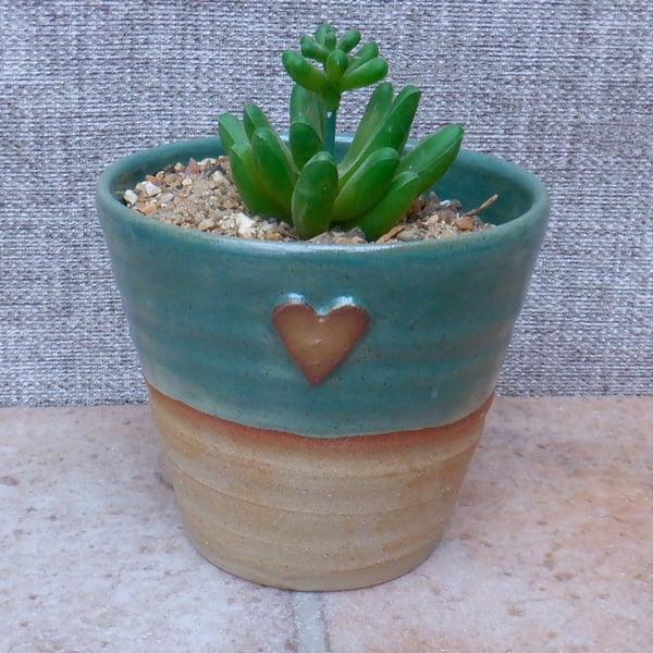 Succulent or cactus holder planter handmade stoneware handthrown pottery ceramic