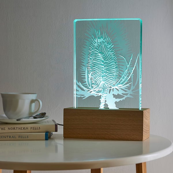 Teasel Design Engraved Glass Wood LED Table Light By Tim Carter