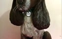 Dog Keepsakes