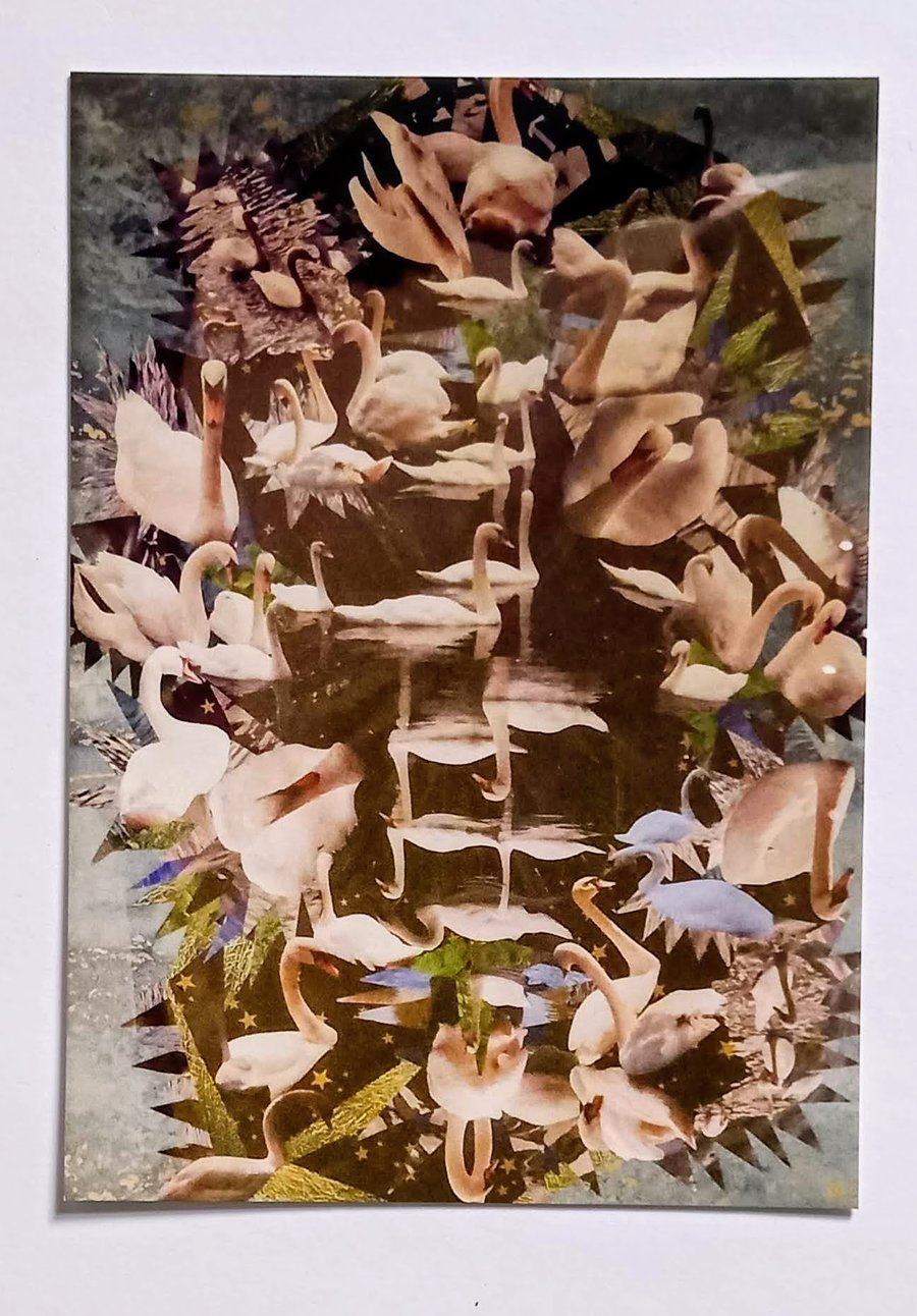 Swan Card 'Mistress'  A5 - Blank Greeting Card