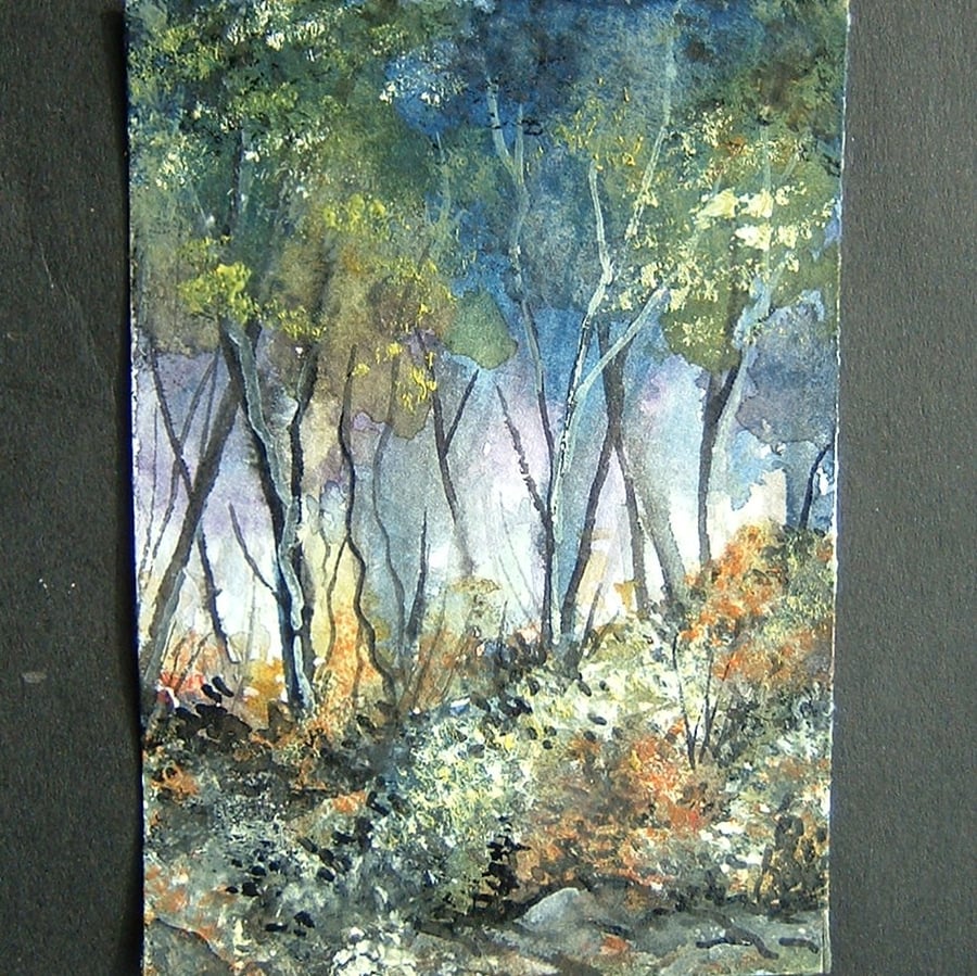 aceo SFA original miniature watercolour painting woodland landscape 89