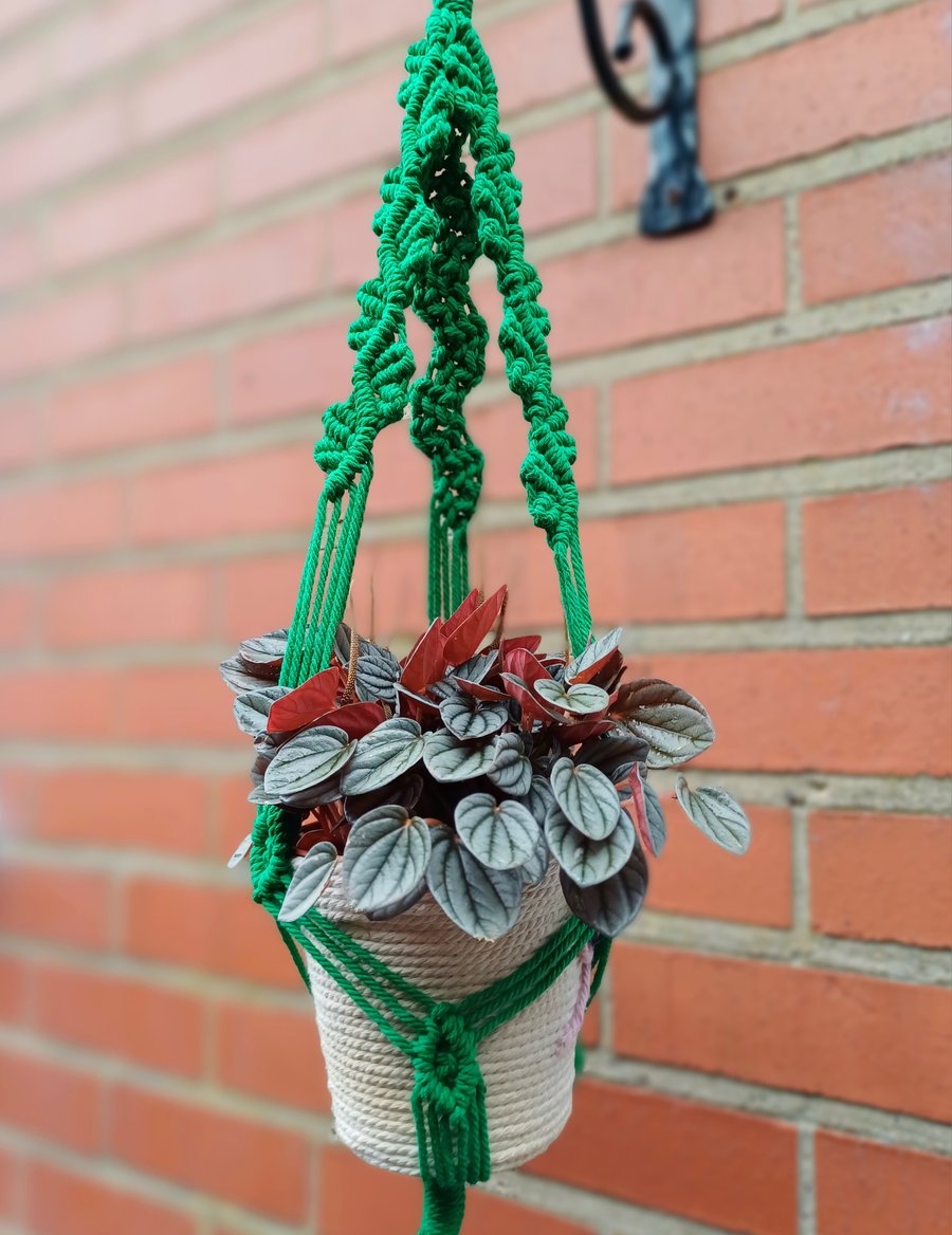 Macrame plant pot hanger 
